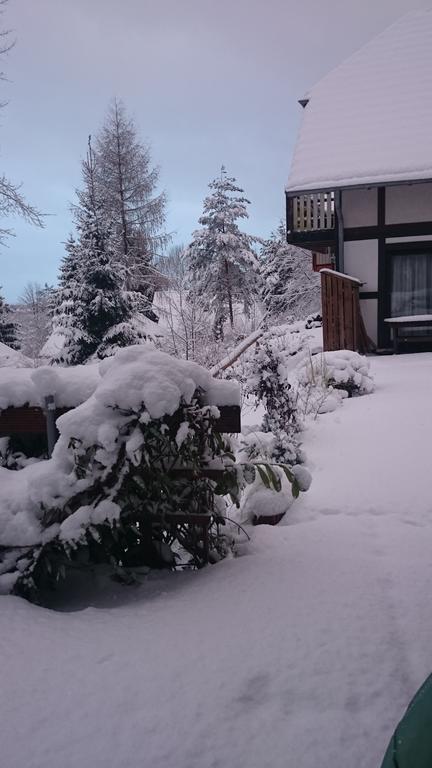 Ferienwohnung Hartmann Frankenau Exteriér fotografie